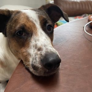 Meet your Posher, Myralee m